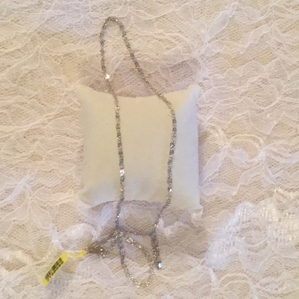 NWT 24” SS chain